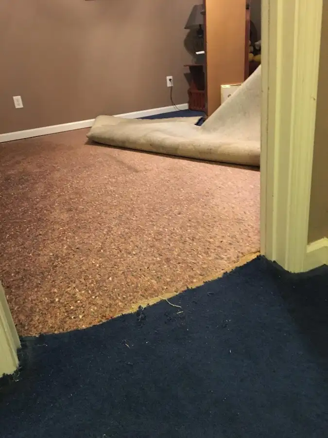 Carpet pad removal revealing water damage during Drying & Dehumidification in Pottstown
